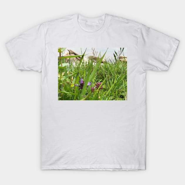 Peaceful View from My Morning Yoga Practice -- Pigeon Pose Art T-Shirt by aldersmith